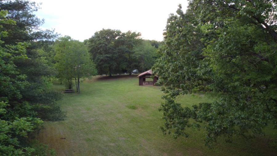 Open field with trees and nature.