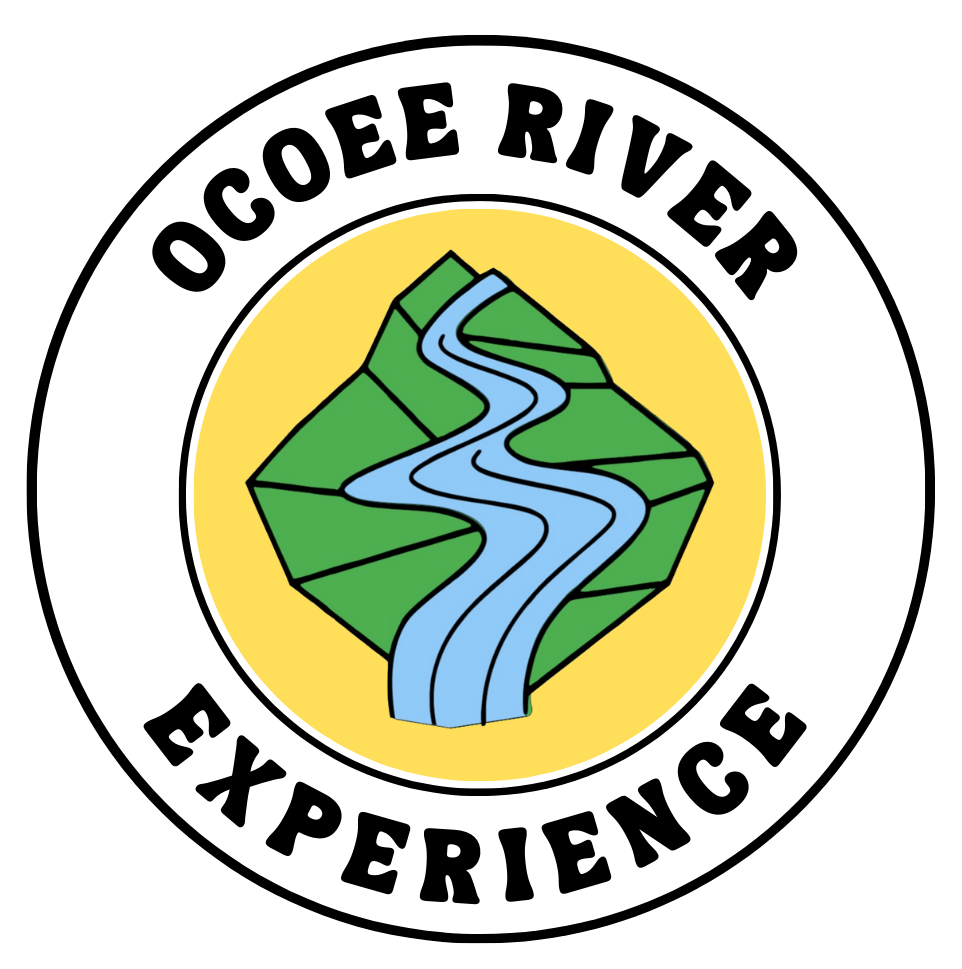 Website title