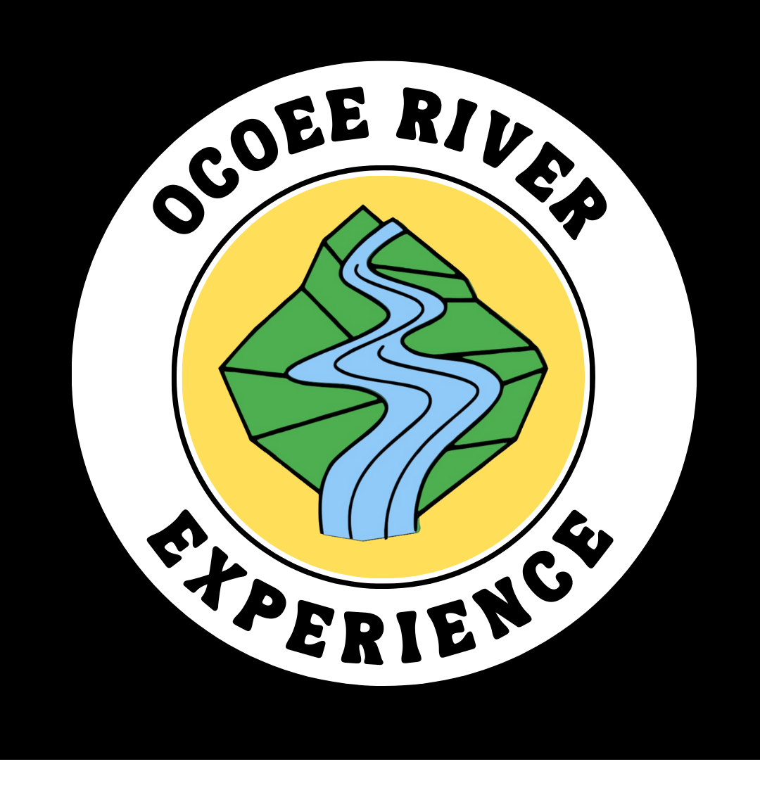 Website title